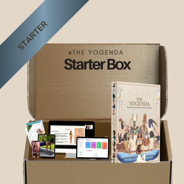 The Starter Box